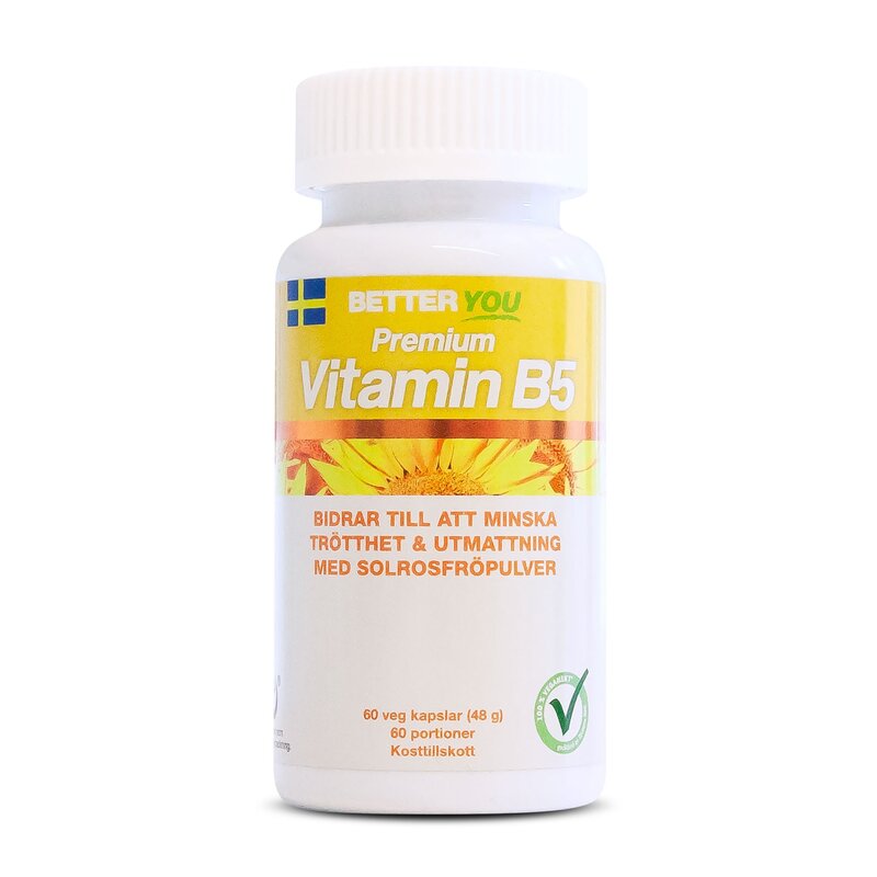 Produktfoto för Premium Vitamin B5